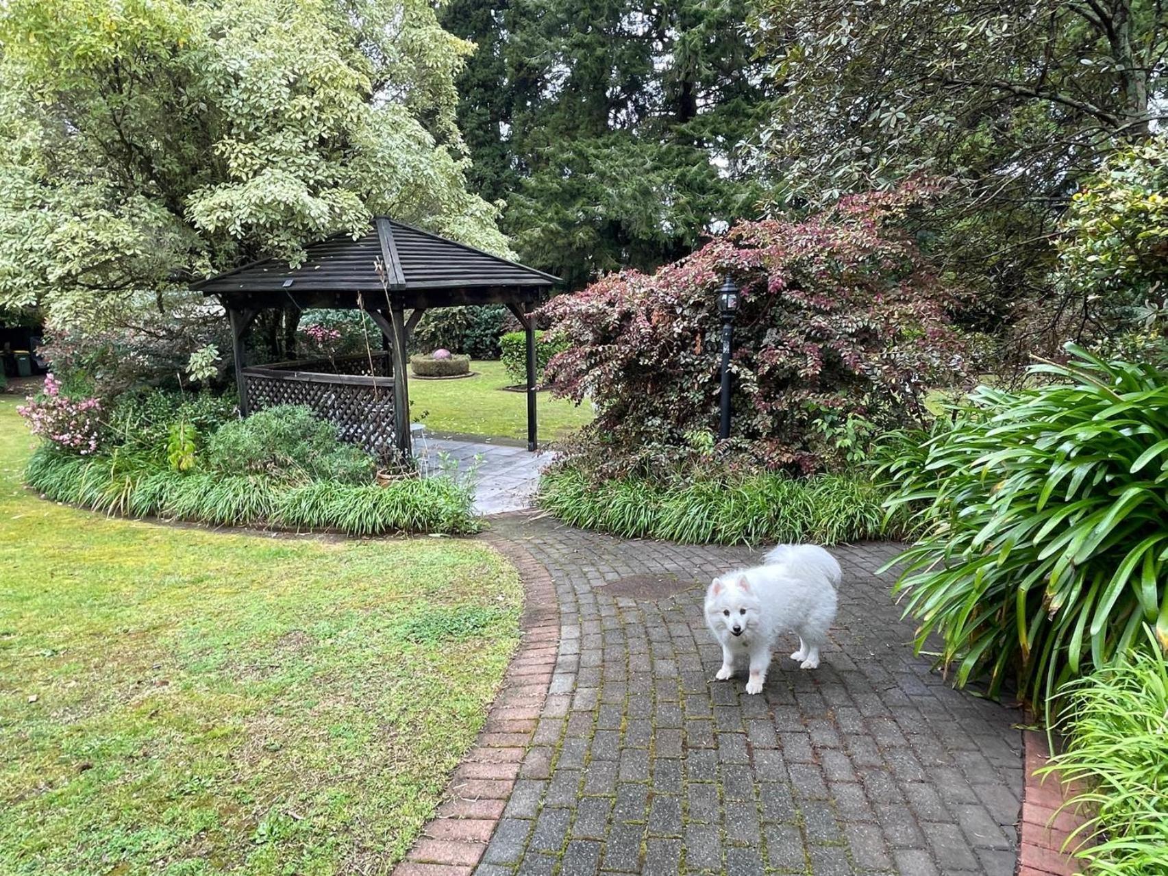Garden Paradise In Rotorua With Pool Εξωτερικό φωτογραφία